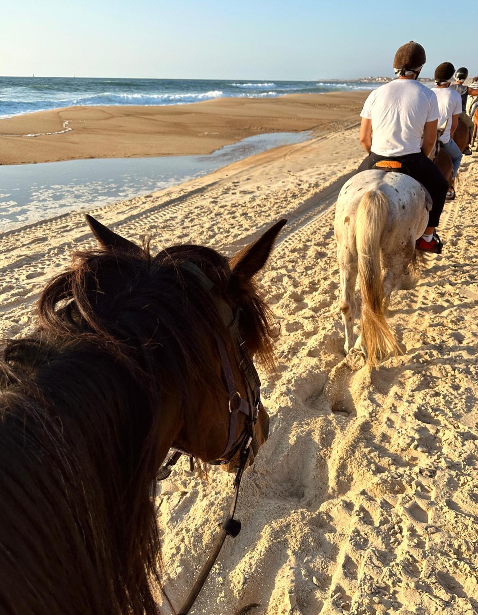 Aparra Surfcamp Capbreton Hotel Kültér fotó